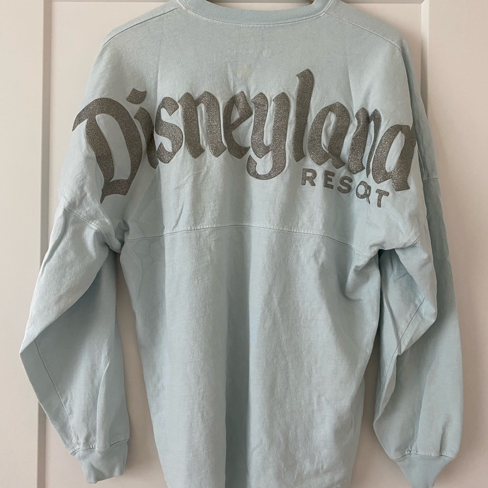 Disneyland Cinderella Spirit Jersey